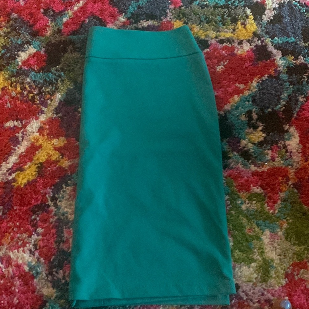 Beautiful skirt from New York &Company